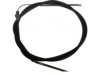 WAGNER  BC124139 Parking Brake Cable