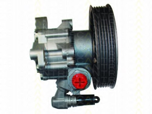 0034666001,OEM 0034666001 Power Steering Pump for OEM