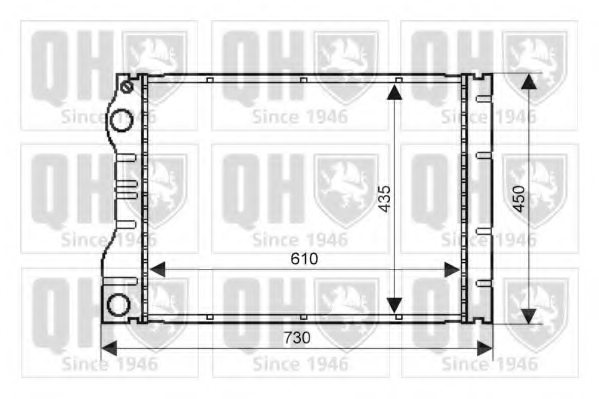 6025312321,RENAU 6025312321 Radiator, engine cooling for RENAU