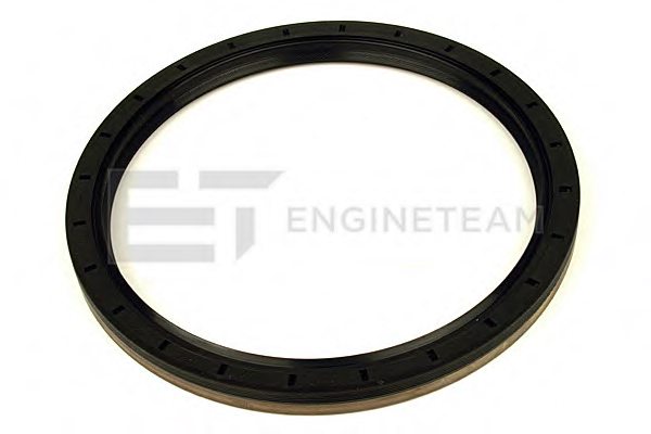 1370127,DAF 1370127 Shaft Seal, crankshaft for DAF