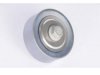  12566893 Idler Pulley