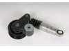  12583180 Belt Tensioner