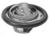 GENERAL MOTORS 19137278 Thermostat