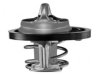 GENERAL MOTORS 19137257 Thermostat