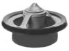 GENERAL MOTORS 19137270 Thermostat