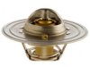 GENERAL MOTORS 19114393 Thermostat
