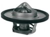 ACDELCO  13171 Thermostat