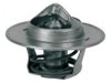 ACDELCO  13187 Thermostat