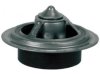 OEM 12559337 Thermostat