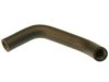 GENERAL MOTORS 22612883 Coolant Recovery Tank Hose