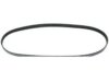 CONTINENTAL  4060345 Belt