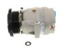 GENERAL MOTORS 19251038 A/C Compressor