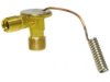 OEM 52401710 A/C Expansion Valve