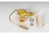 OEM 52484737 A/C Expansion Valve