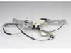 OEM 15143888 Window Regulator & Motor Assembly