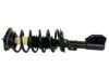 MONROE  172209 Strut / Coil Spring / Mount Assembly