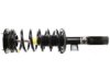 MONROE  172218 Strut / Coil Spring / Mount Assembly