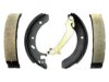 OEM 18038577 Brake Shoe