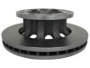 RAYBESTOS 1056493 Rotor