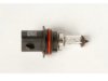 GENERAL MOTORS 19257058 Headlamp Bulb