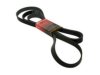 MOTORCRAFT  JK81367 Belt