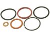 OEM XC3Z9229AB Fuel Injector O-Ring