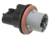AIRTEX / WELLS  1P1516 Tail Lamp Socket