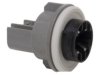 AIRTEX / WELLS  1P1615 Turn Signal Lamp Socket