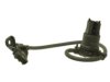 AIRTEX / WELLS  1S6979 Back Up Lamp Switch