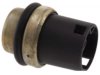 OEM 251919501 Temperature Sender / Sensor