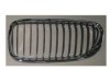 VARIOUS MFR  BM1200208 Grille