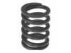  2121202 Valve Spring