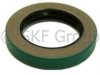 BEARINGS INC 1544253 Transfer Case Output Shaft Seal