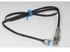 OEM 12578461 Oxygen (O2) Sensor