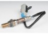 OEM 12597878 Oxygen (O2) Sensor