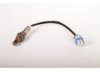 OEM 12611165 Oxygen (O2) Sensor