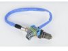 OEM 12616201 Oxygen (O2) Sensor