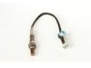 OEM 12559850 Oxygen (O2) Sensor