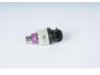 OEM 17112123 Fuel Injector