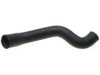 GENERAL MOTORS 10262991 Radiator Lower Hose