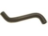 TOYOTA 1657221090 Radiator Lower Hose