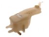  22600724 Coolant Recovery Tank