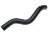 HONDA 19501RGLA00 Radiator Upper Hose