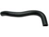 GENERAL MOTORS 19163099 Radiator Lower Hose