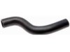 GENERAL MOTORS 19163131 Radiator Upper Hose