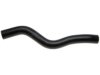 HONDA 19501RYEA10 Radiator Upper Hose