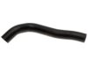 HONDA 19502RB0900 Radiator Lower Hose