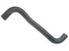 NISSAN 215030B701 Radiator Lower Hose