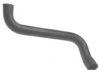 NISSAN 2150310Y00 Radiator Lower Hose