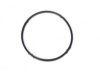  24447061 Thermostat / Thermostat Housing / Water Outlet Seal